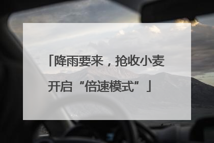 降雨要来，抢收小麦开启“倍速模式”