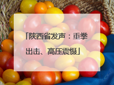 陕西省发声：重拳出击、高压震慑