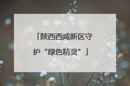 陕西西咸新区守护“绿色精灵”