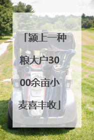 颍上一种粮大户3000余亩小麦喜丰收