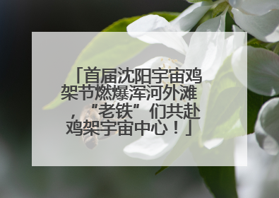 首届沈阳宇宙鸡架节燃爆浑河外滩，“老铁”们共赴鸡架宇宙中心！