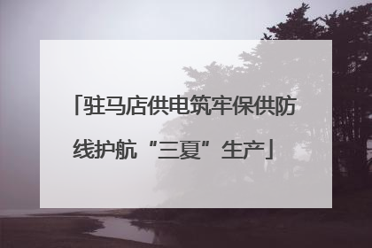 驻马店供电筑牢保供防线护航“三夏”生产