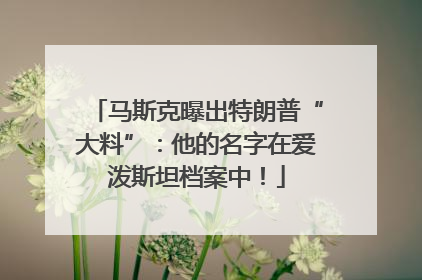 马斯克曝出特朗普“大料”：他的名字在爱泼斯坦档案中！