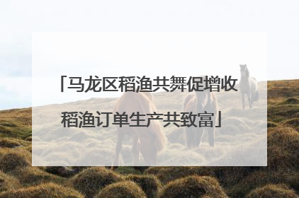 马龙区稻渔共舞促增收 稻渔订单生产共致富