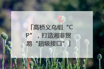 高桥义乌组“CP”，打造湘非贸易“超级接口”