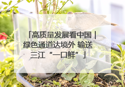 高质量发展看中国｜绿色通道达境外 输送三江“一口鲜”