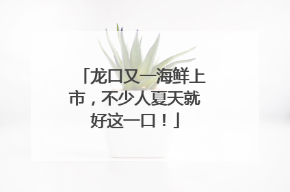 龙口又一海鲜上市，不少人夏天就好这一口！
