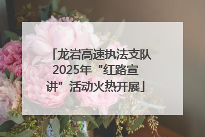 龙岩高速执法支队2025年“红路宣讲”活动火热开展