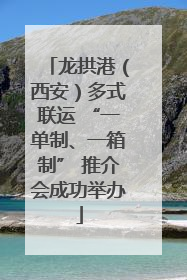 龙拱港（西安）多式联运 “一单制、一箱制” 推介会成功举办