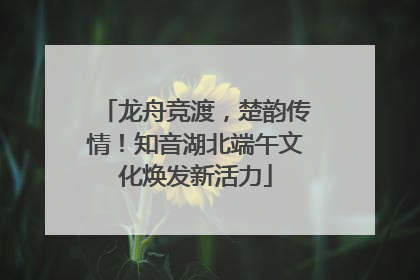 龙舟竞渡，楚韵传情！知音湖北端午文化焕发新活力