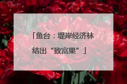 鱼台：堤岸经济林结出“致富果”