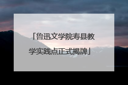 鲁迅文学院寿县教学实践点正式揭牌