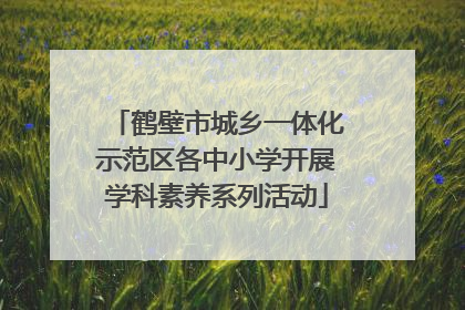 鹤壁市城乡一体化示范区各中小学开展学科素养系列活动