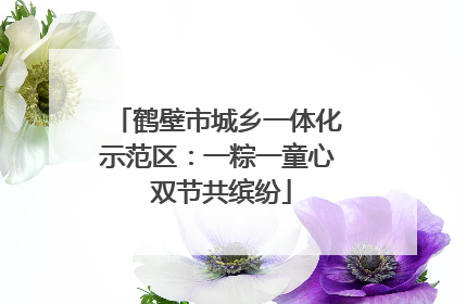 鹤壁市城乡一体化示范区：一粽一童心 双节共缤纷