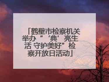 鹤壁市检察机关举办“‘典’亮生活 守护美好”检察开放日活动