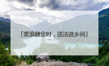 麦浪翻金时，送法进乡间