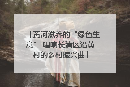 黄河滋养的“绿色生意” 唱响长清区沿黄村的乡村振兴曲