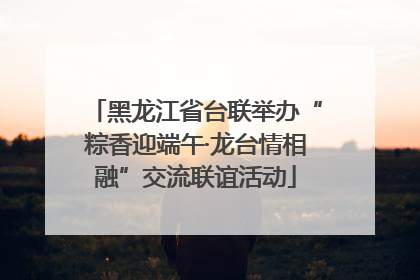黑龙江省台联举办“粽香迎端午·龙台情相融”交流联谊活动