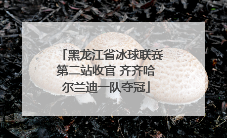 黑龙江省冰球联赛第二站收官 齐齐哈尔兰迪一队夺冠