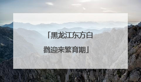 黑龙江东方白鹳迎来繁育期
