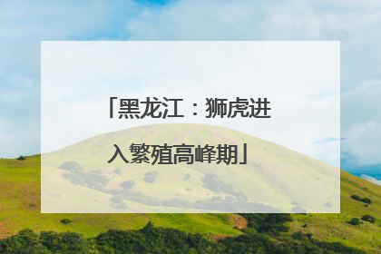 黑龙江：狮虎进入繁殖高峰期