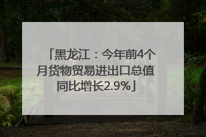 黑龙江：今年前4个月货物贸易进出口总值同比增长2.9%