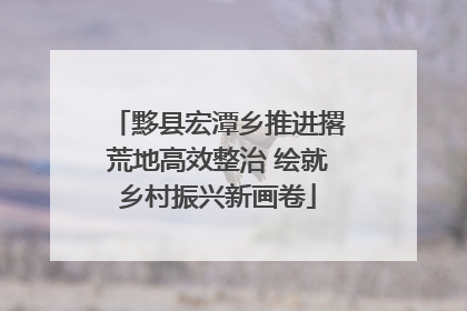 黟县宏潭乡推进撂荒地高效整治 绘就乡村振兴新画卷