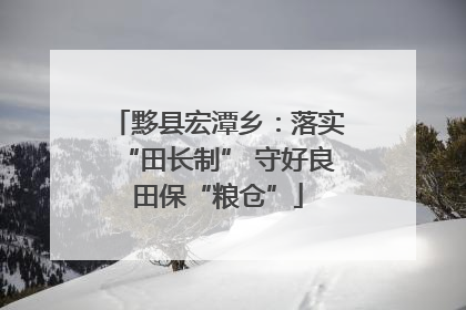 黟县宏潭乡：落实“田长制” 守好良田保“粮仓”