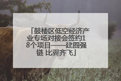 鼓楼区低空经济产业专场对接会签约18个项目——建圈强链 比翼齐飞