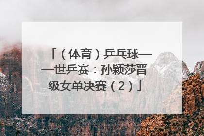 （体育）乒乓球——世乒赛：孙颖莎晋级女单决赛（2）