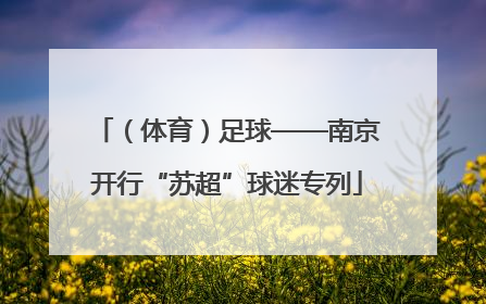（体育）足球——南京开行“苏超”球迷专列
