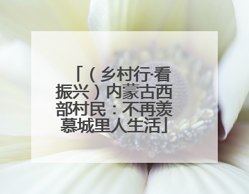 （乡村行·看振兴）内蒙古西部村民：不再羡慕城里人生活