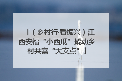 （乡村行·看振兴）江西安福“小西瓜”撬动乡村共富“大支点”