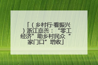 （乡村行·看振兴）浙江嘉善：“零工经济”助乡村民众“家门口”增收
