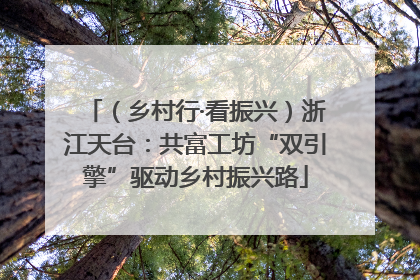 （乡村行·看振兴）浙江天台：共富工坊“双引擎”驱动乡村振兴路
