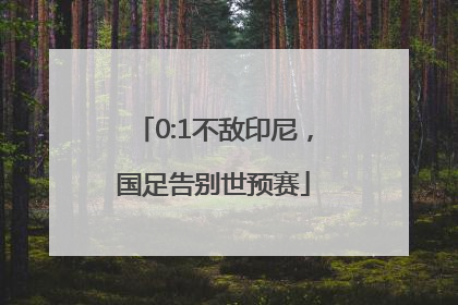 0:1不敌印尼，国足告别世预赛