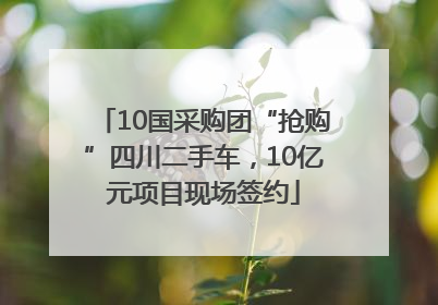 10国采购团“抢购”四川二手车，10亿元项目现场签约