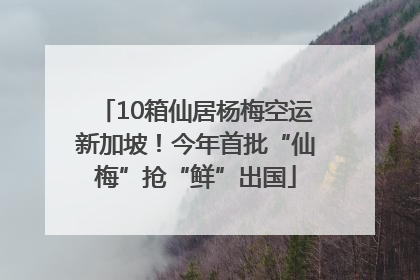 10箱仙居杨梅空运新加坡！今年首批“仙梅”抢“鲜”出国