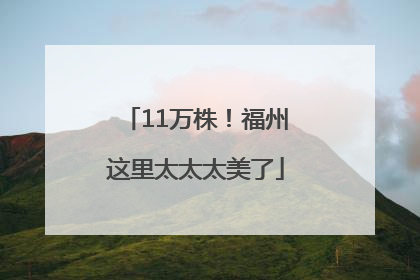 11万株！福州这里太太太美了