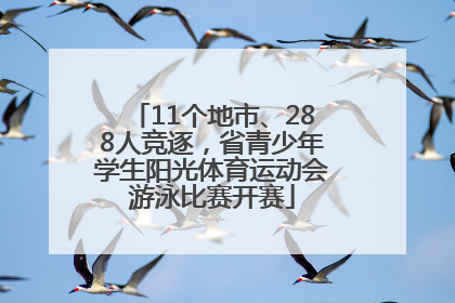 11个地市、288人竞逐，省青少年学生阳光体育运动会游泳比赛开赛