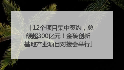 12个项目集中签约，总额超300亿元！金砖创新基地产业项目对接会举行