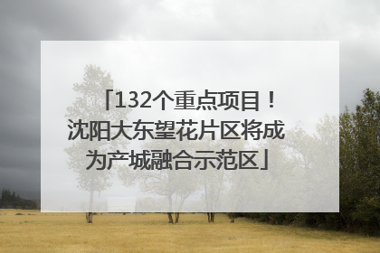 132个重点项目！沈阳大东望花片区将成为产城融合示范区