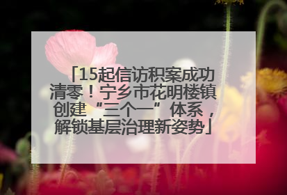15起信访积案成功清零！宁乡市花明楼镇创建“三个一”体系，解锁基层治理新姿势