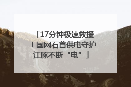 17分钟极速救援！国网石首供电守护江豚不断“电”