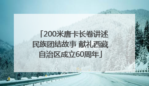 200米唐卡长卷讲述民族团结故事 献礼西藏自治区成立60周年