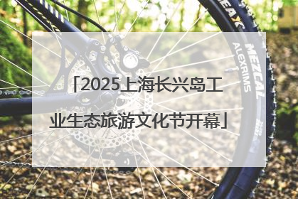 2025上海长兴岛工业生态旅游文化节开幕