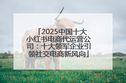 2025中国十大小红书电商代运营公司：十大领军企业引领社交电商新风向