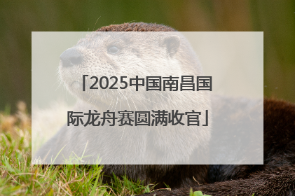 2025中国南昌国际龙舟赛圆满收官