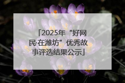 2025年“好网民·在潍坊”优秀故事评选结果公示
