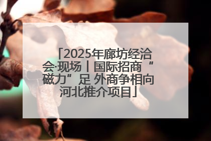 2025年廊坊经洽会·现场丨国际招商“磁力”足 外商争相向河北推介项目